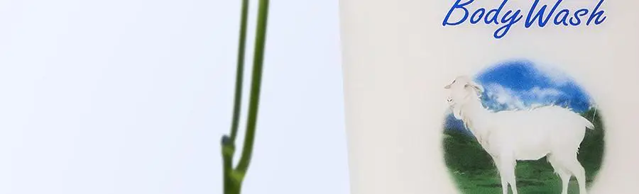 [살냄새 잔향 바디워시]레이비 퍼퓸 바디워시 500ml 4종 택1 (산양유/라벤더/로얄젤리/런던로즈) 상세페이지 22